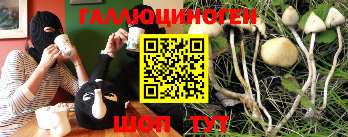 Галлюциногенные грибы GOLDEN TEACHER  где можно купить   Псилоцибиновые грибы ЛСД  Ульяновск  Вход с VPN 
