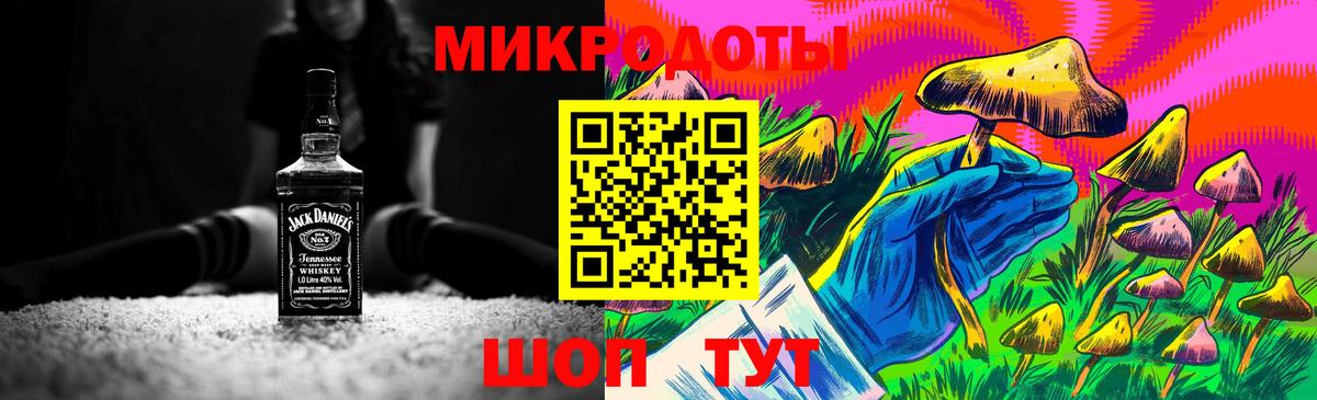Галлюциногенные грибы Psilocybe Ульяновск