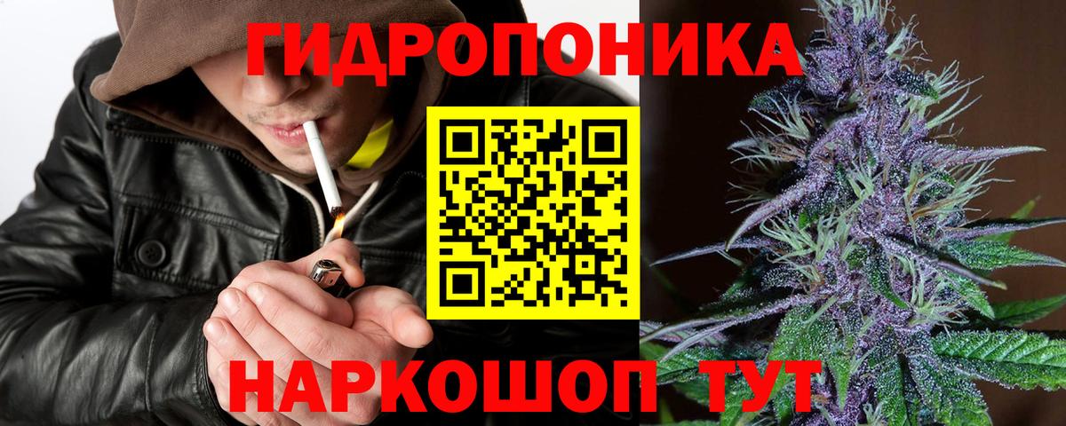 Бошки марихуана VHQ Ульяновск